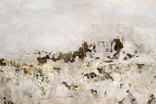 istock Old white cracked vintage wall background texture. Close up. 590051844