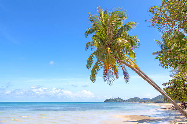 istock Thailand Koh Chang Island 590055028