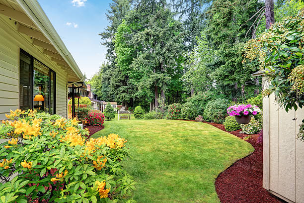 istock Well kept garden at backyard with trees, bushes and flowers. 590058806