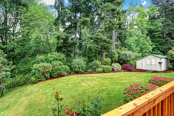 istock Well kept garden at backyard with trees, bushes and flowers. 590059154