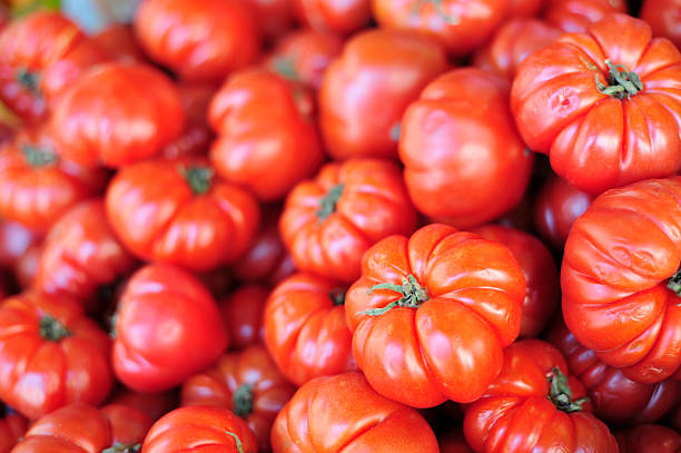 beefsteaktomate  - beefsteak tomato stock-fotos und bilder