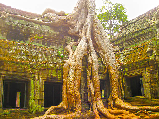 istock Classical picture of Ta Prohm Temple, Angkor, Cambodia 590062944