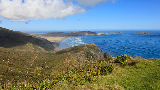 istock Cape Reinga, New Zealand 590063118