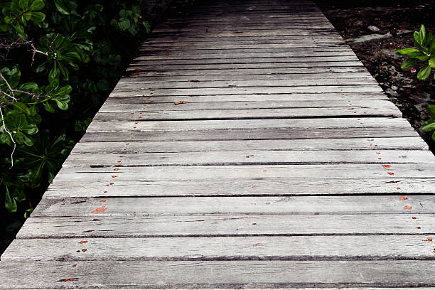 istock Wooden pier from the beach 590063250