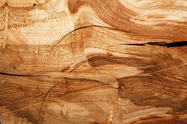 istock background texture of natural wood 590066348