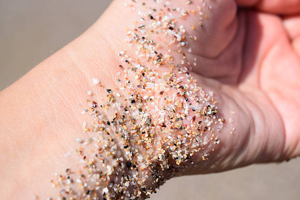 istock shelly sand and small stones adhered 590067134