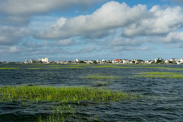 istock Garden City, South Carolina 590067250