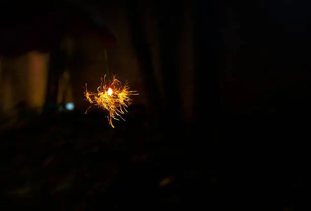 Photo of Shining in the darkness, sparkler of Japanese tradition