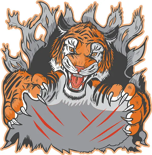 Vector illustration of Tiger Mascot Ripping out Background and Clawing Vector Template