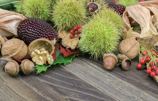 istock Nature background made with autumn fruit 590070270