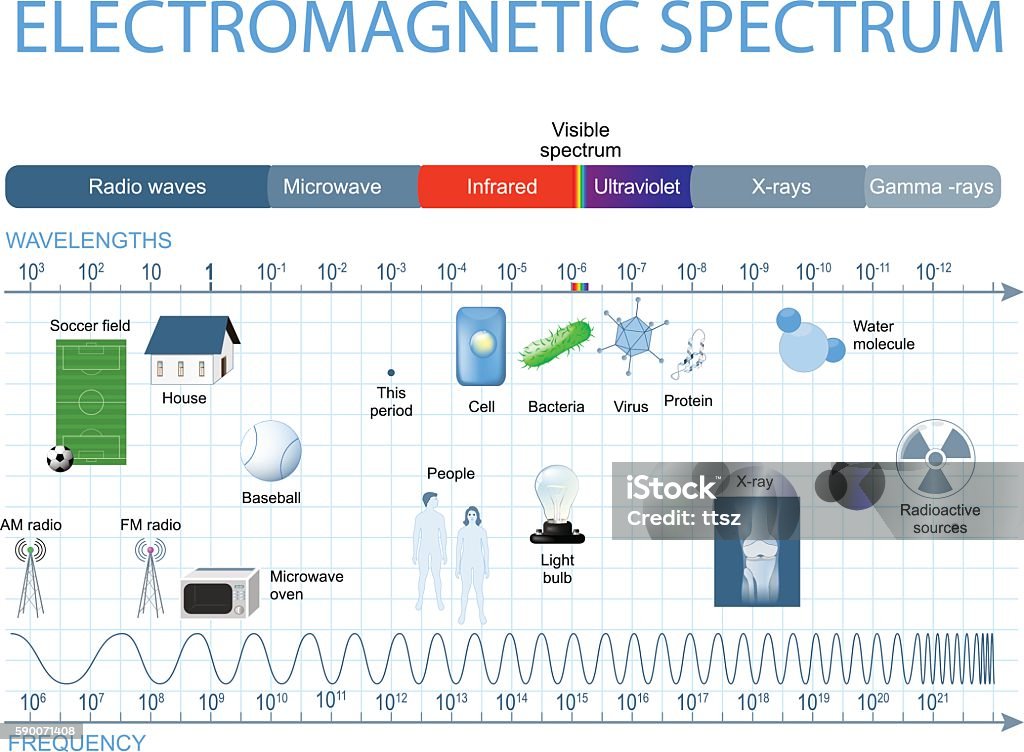 Electromagnetic spectrum Electromagnetic Spectrum. The spectrum of waves includes infrared rays,  visible light, ultraviolet rays, and X-rays. Human eyes are only sensitive to the range that is between wavelength 780 nanometers and 380 nanometers in length. Electromagnetic stock vector