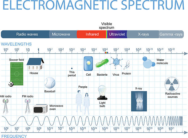 Electromagnetic spectrum Electromagnetic Spectrum. The spectrum of waves includes infrared rays,  visible light, ultraviolet rays, and X-rays. Human eyes are only sensitive to the range that is between wavelength 780 nanometers and 380 nanometers in length. electromagnetic stock illustrations