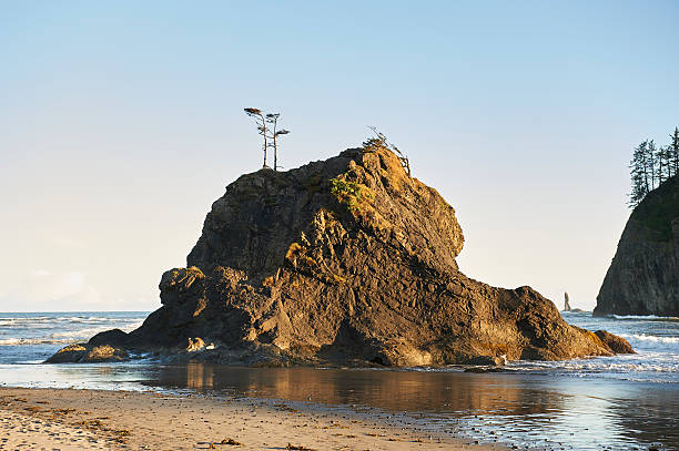 A deserted beach at sunset in the Olympic National Park in Washington state. A huge rock with trees on it is in the surf.