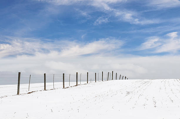 istock Fence in Snow Covered Field with Clouds and Blue Sky 590072580