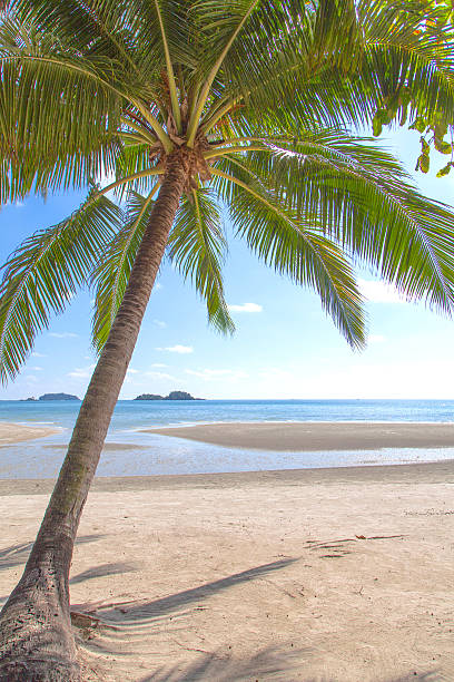 istock Thailand Koh Chang Island 590076706
