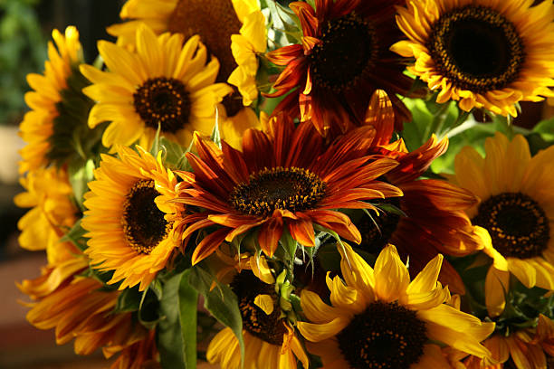 istock Bouquet of Sunflowers 590078122