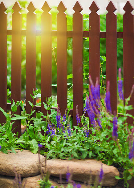 istock Wooden fence over the courtyard 590079302