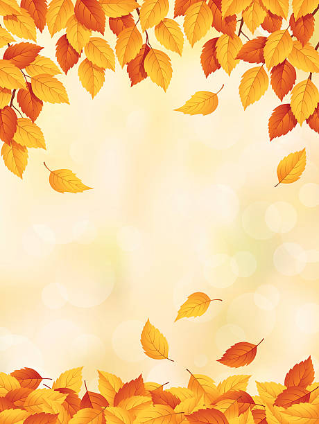 zeichnung von gelben bis roten blättern fällt im herbst - leaf autumn falling tree stock-grafiken, -clipart, -cartoons und -symbole