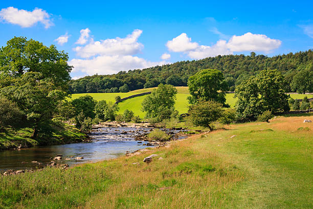 вид на йоркширские дейлы вдоль реки уорф возле грассингтона - yorkshire dales стоковые фото и изображения