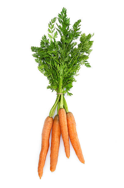 zanahorias fresca  - carrot fotografías e imágenes de stock