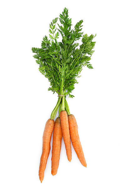 carote fresche  - carrot vegetable isolated organic foto e immagini stock