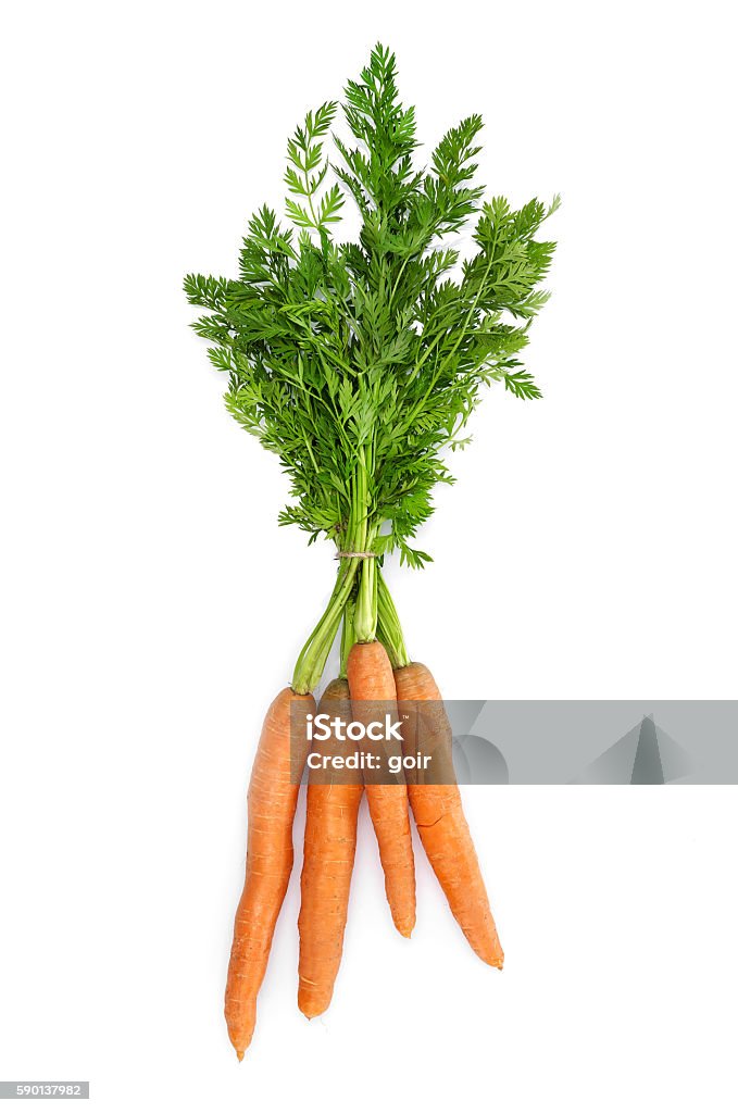 Fresh carrots Fresh carrots isolated on white Carrot Stock Photo