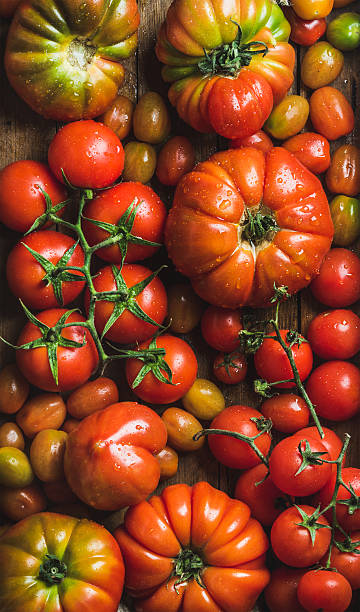 istock Colorful tomatoes of different sizes and kinds 590141366