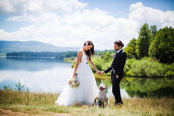 Bride and groom wedding with dog Bride and groom in beautiful nature with dog real wife stories stock pictures, royalty-free photos & images