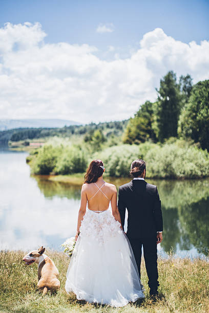istock Bride and groom wedding with dog 590143528