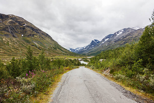 istock Mountain valley in August with some snow on the peaks. 590144102