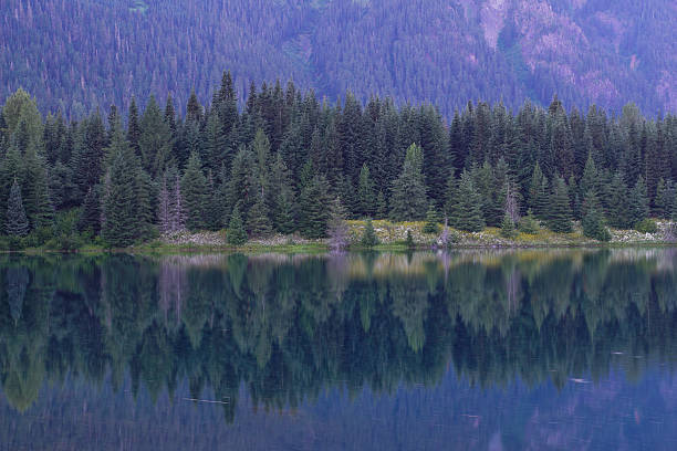 istock Morning Lake Reflection in Washington Cascades 590144722