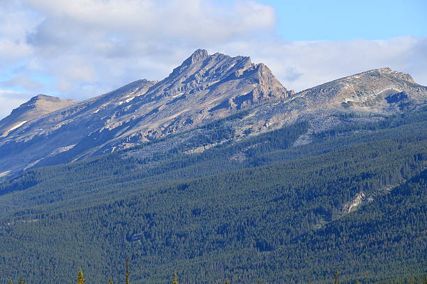 Mount Kitchener Jasper Rockies - Free photo on Pixabay