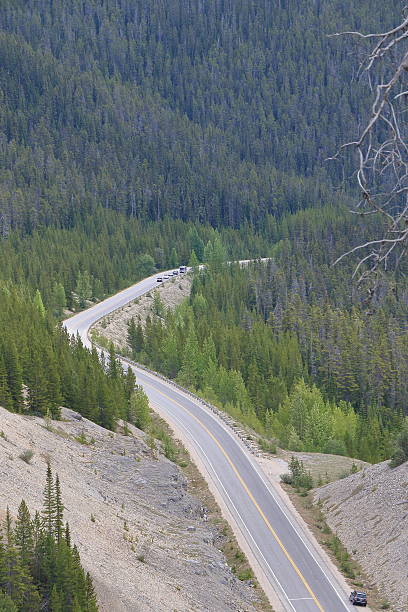 istock Canadian Rocky Mountain Parks 590146436