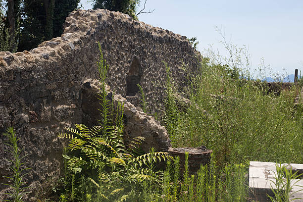 istock Ruins of Pompeii 590146680