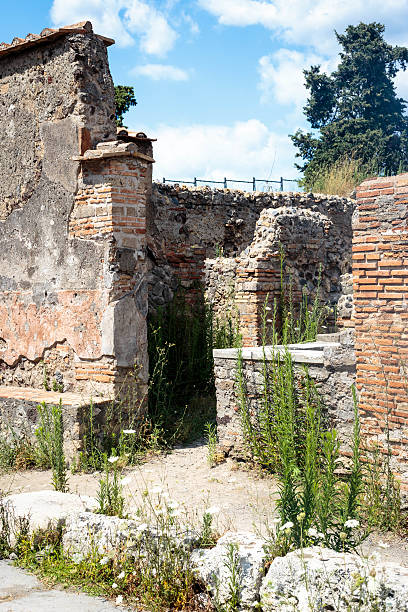 istock Ruins of Pompeii 590146684