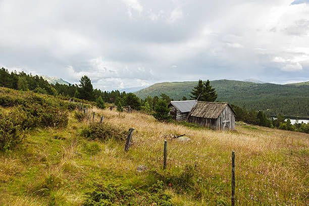 istock Idyllic traditional summer farm in the Norwegian mountains. 590146880