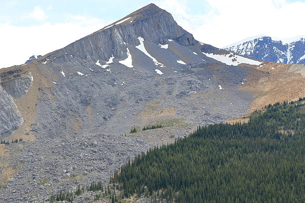 Mount Kitchener Jasper Rockies - Free photo on Pixabay