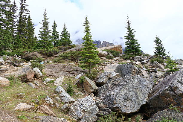 istock Canadian Rocky Mountain Parks 590147796