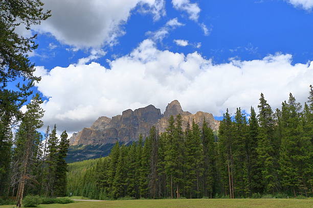 istock Canadian Rocky Mountain Parks 590148078