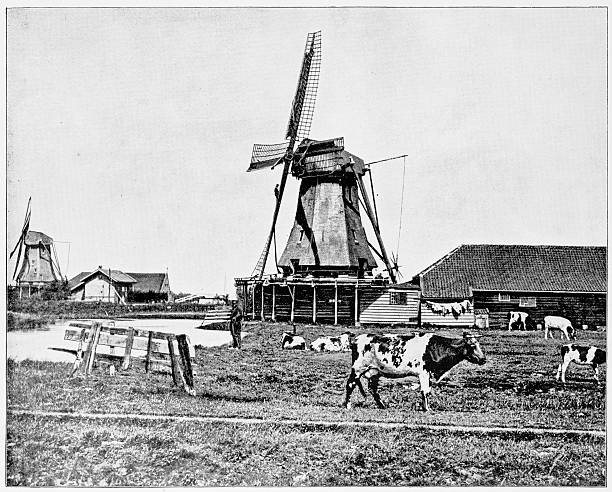 istock Dutch Windmills, Holland in 1880s 590150148