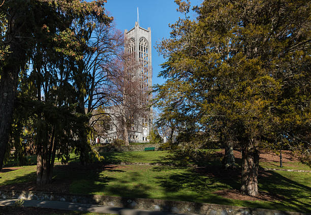 cattedrale di nelson con alberi nel parco - il monumento di nelson foto e immagini stock