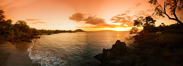 imagen panorámica de una playa hawaiana - hawaii islands maui big island tropical climate fotografías e imágenes de stock