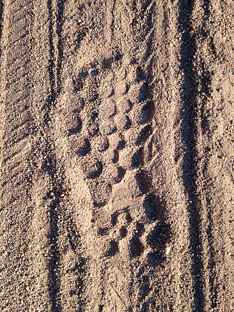 istock Footprint,shoe on sand 590153428