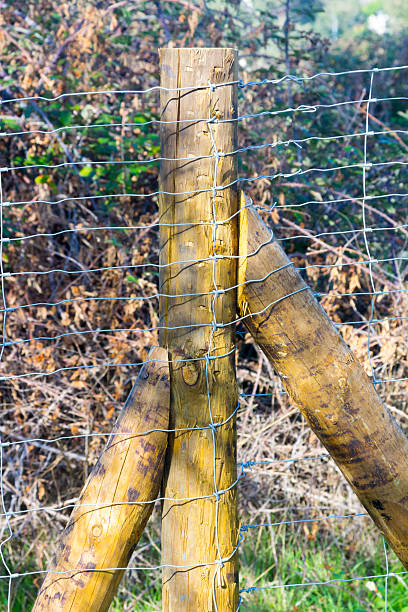 istock wooden post on a fence in the field 590154148