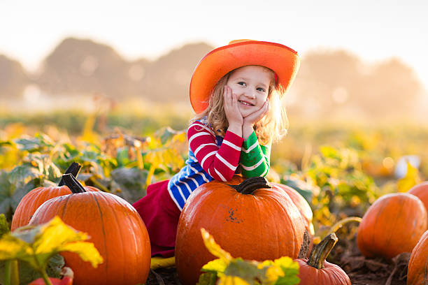 istock Sweet child playing on pumpkin patch 590156114