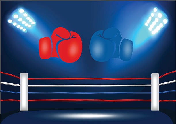 угол боксерского ринга с 2 перчатками - boxing ring fighting rope stadium stock illustrations