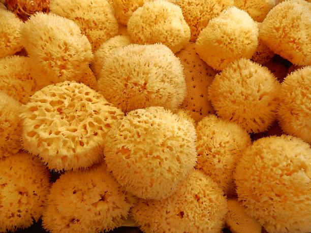 Sponge balls stock photo