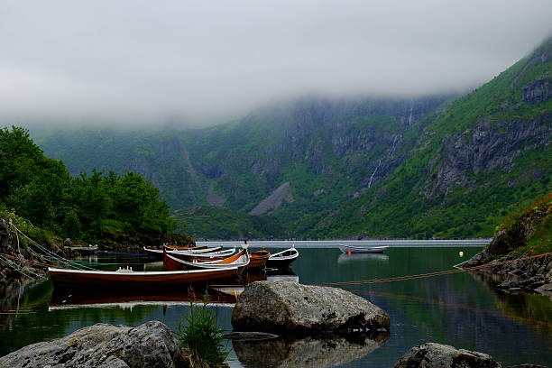 Rowing boats on a line stock photo