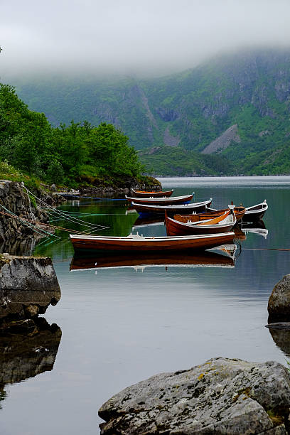 Rowing boats on a line stock photo