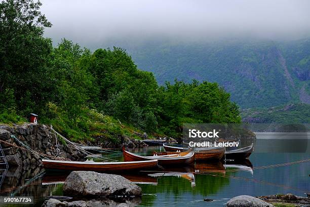 Rowing Boats On A Line Stock Photo - Download Image Now - Bay of Water, Fishing Industry, Forest